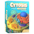 Cytosis: A Cell Biology Board Game