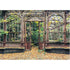 Vegetal Arch 1000-Piece Schmidt Puzzle